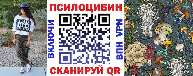 Псилоцибиновые грибы Psilocybine cubensis Сыктывкар